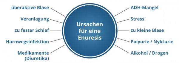 Ursachen_Enuresis_2022.jpg