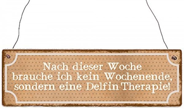 Delfin-Therapie-2023.jpg