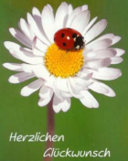 Keine neuen Beiträge