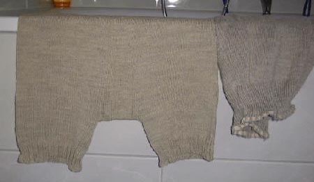 Wollschluepfer_morgen[1]