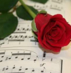 Keine neuen Beiträge